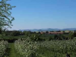 Ekologická farma Litoměřice - Schauerovy zahrady