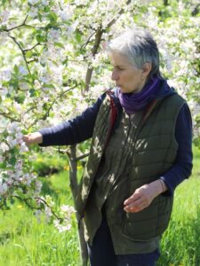 Ekologická farma Litoměřice - Schauerovy zahrady